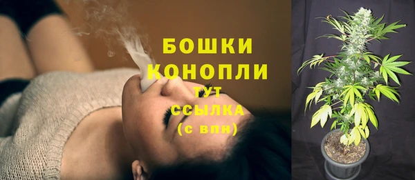 прущие крисы Новодвинск