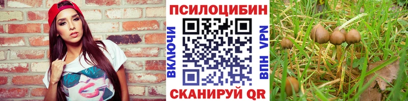 KRAKEN ТОР  Тихвин  Галлюциногенные грибы Magic Shrooms 